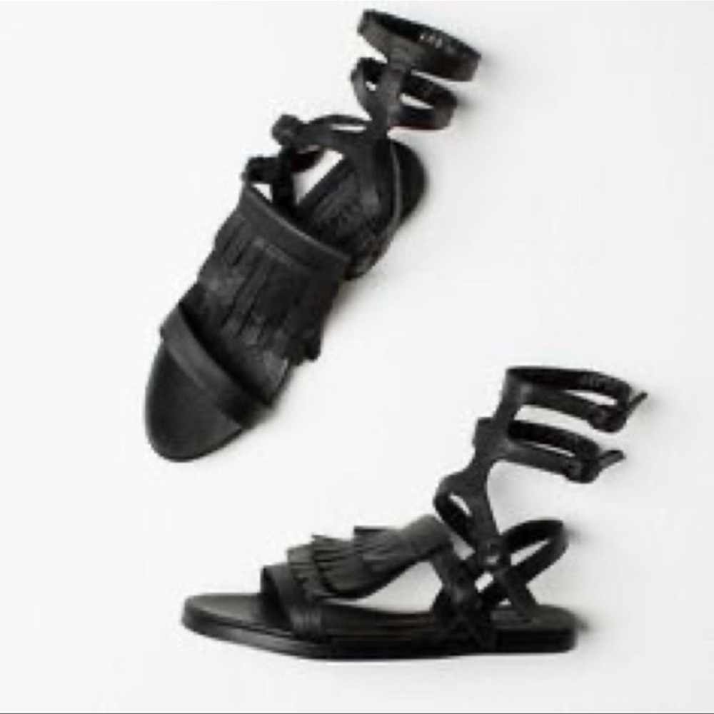 Freda Salvador Fly Gladiator Sandels